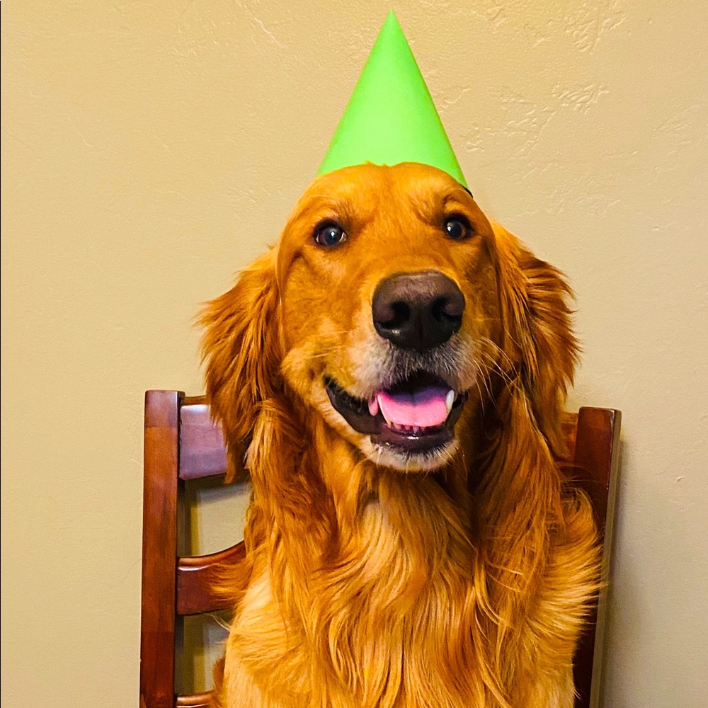 Meet your Posher, Aron